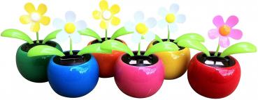 4 Wackelblumen Solar Blume bunt