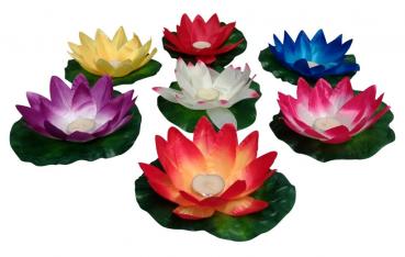 10 Wasserlaterne Lotusblüte Seerose bunt