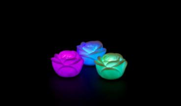 2 Rose LED mit Farbwechsel