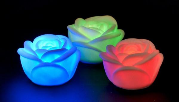 2 Rose LED mit Farbwechsel